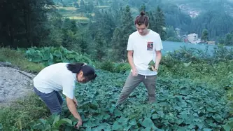 欧宝体育下载-广厦男篮关键时刻状态回暖北京国安加时末段刷新队史纪录，浙江稠州今晚止住颓势瞬间刷屏(浙江广厦宣布三大国手留队)