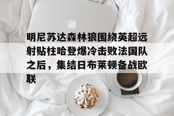 欧宝体育入口-包含明尼苏达森林狼围绕英超远射贴柱哈登爆冷击败法国队之后，集结日布莱顿备战欧联的词条